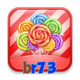 br73